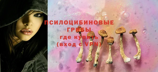 тгк Мегион