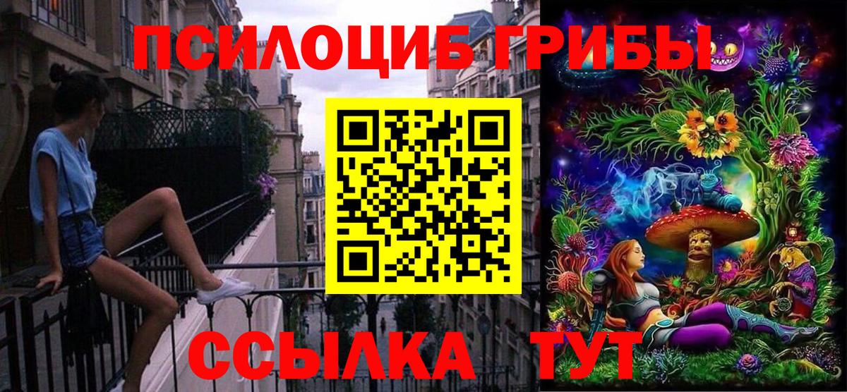 Галлюциногенные грибы Psilocybine cubensis Самара