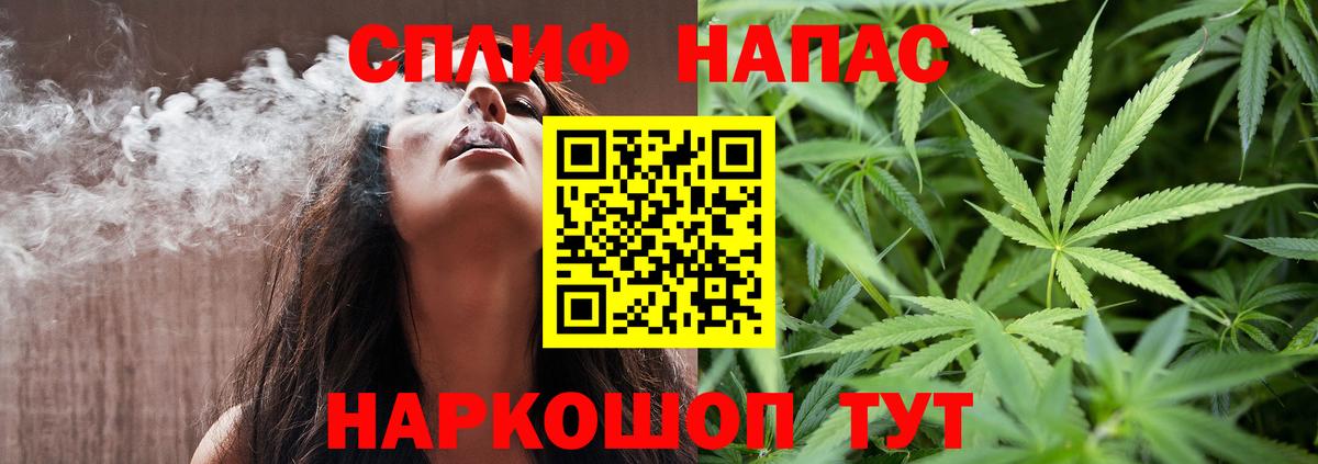 Бошки Шишки план Самара